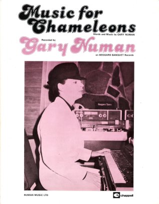 Music For Chameleons